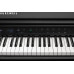 ЦИФРОВЫЕ ПИАНИНО, РОЯЛИ И ОРГАНЫ Kurzweil CUP G1W BP