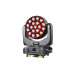 Dialighting IW 19-20Z вращающиеся головы LED типа WASH