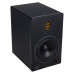 Активные студийные мониторы Eve Audio SC205 All Black