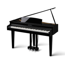 KAWAI DG30 EP