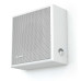 Настенные CVGAUDIO WPS6T