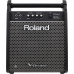 ROLAND PM-100