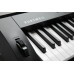 Kurzweil KA120 LB