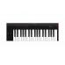 IK MULTIMEDIA IRIG KEYS 2 MINI