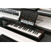 IK MULTIMEDIA IRIG KEYS 2 MINI