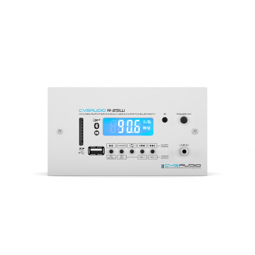 CVGAUDIO R-25W