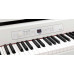 KORG G1B AIR WHASH