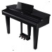 Roland GP 3 PE