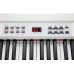 Kurzweil KA90 WH