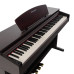 ROCKDALE ETUDE 64 ROSEWOOD ЦИФРОВЫЕ ПИАНИНО, РОЯЛИ И ОРГАНЫ