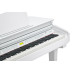 Kurzweil KAG100 WHP