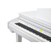Kurzweil KAG100 WHP