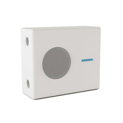 CVGaudio SUBone model B-8W/Active