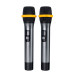 С 2-мя микрофонами LAudio LS-804-MH