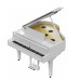 Roland GP 9 PW