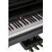 ЦИФРОВЫЕ ПИАНИНО, РОЯЛИ И ОРГАНЫ Orla Grand-500-BLACK