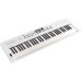 ЦИФРОВЫЕ ПИАНИНО, РОЯЛИ И ОРГАНЫ ROLAND GO:KEYS-5-WH