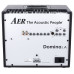 Комбо для акустической гитары AER Domino 2A