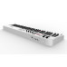 миди-клавиатура 61 клавиша LAudio KS61B