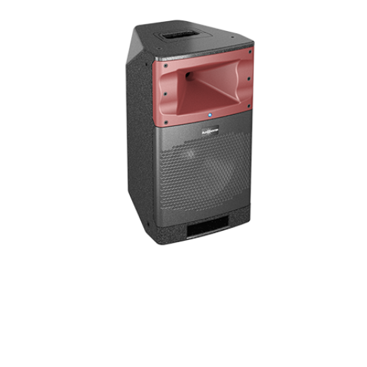 Audiocenter SA310 активная акустическая система