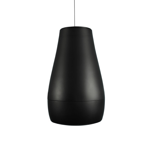 Подвесные BIAMP P6 BLACK