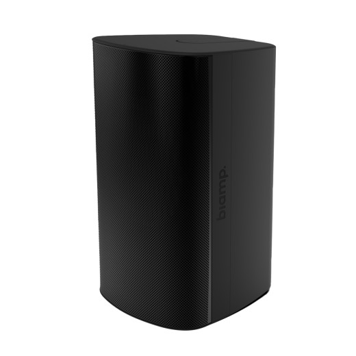 Настенные BIAMP Desono EX-S6