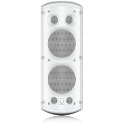 TURBOSOUND TCI53-T-WH