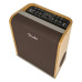 Fender Acoustic SFX