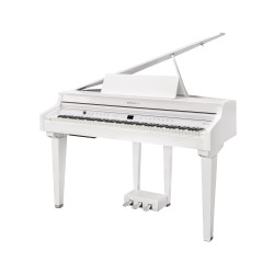 Kurzweil CUP G1W WHP