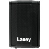 12 дюймов LANEY CT12