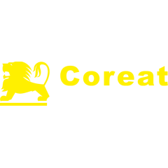 Coreat Кабель для соединения лебедок с 4х канальным контроллером