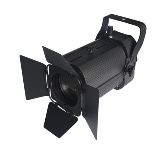 Diapro Fresnel Zoom 100/23-90 театральный прожектор