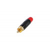 RCA Rean RF2C-B-2