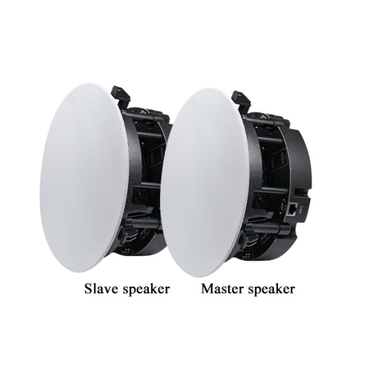 Потолочные DSPPA DW-2235