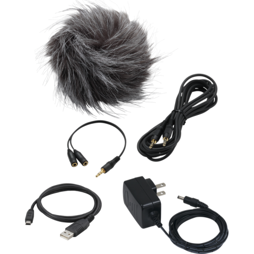 Рекордер Zoom APH4nPro