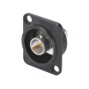 BNC NEUTRIK NBB75DSGB