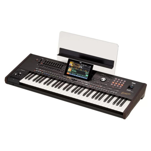 Korg PA5X 61 Oriental рабочие станции