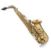 Альты Selmer SAX ALTO SA80 II JUBILE GG