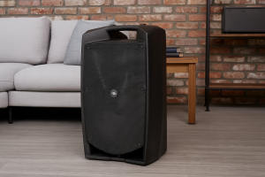 🎧 PROEL V12PRO — мощь, на которую можно положиться! 🔊