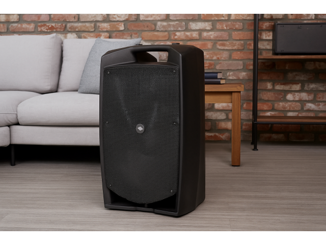 🎧 PROEL V12PRO — мощь, на которую можно положиться! 🔊