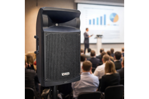 🔊 XLINE SPX-600 PRO — рабочая лошадка для серьёзных задач