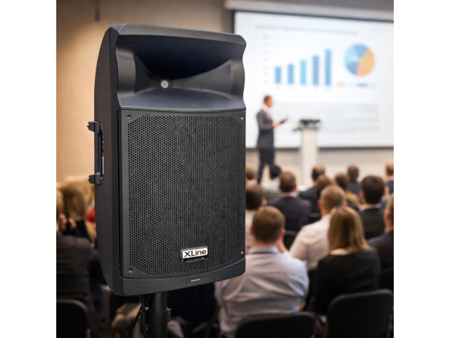 🔊 XLINE SPX-600 PRO — рабочая лошадка для серьёзных задач