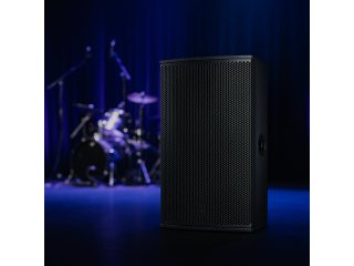 Turbosound PQ12  🔥 Мощь, проверенная турами!