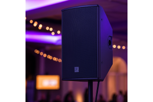 Turbosound TQ10  🏆 Компактность и точность звука!