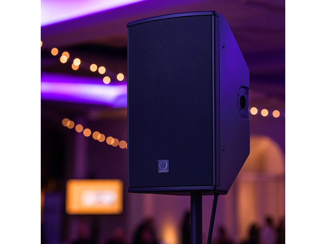 Turbosound TQ10  🏆 Компактность и точность звука!