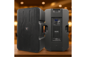 Elarcon AC15TD3 4.6K-FV — активная акустическая система, заточенная под устойчивую работу в нагруженных сценариях.