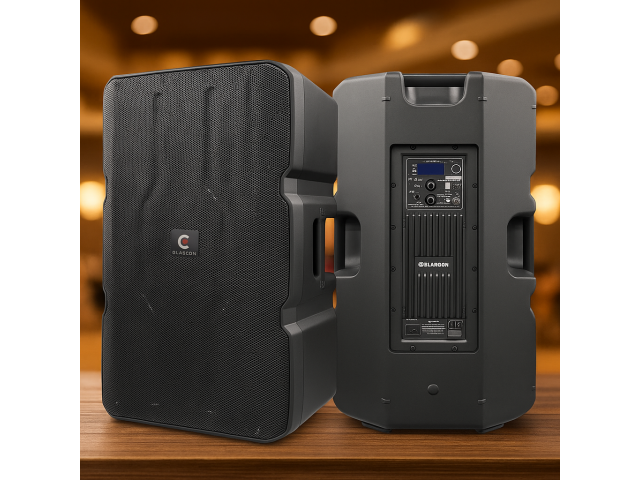 Elarcon AC15TD3 4.6K-FV — активная акустическая система, заточенная под устойчивую работу в нагруженных сценариях.