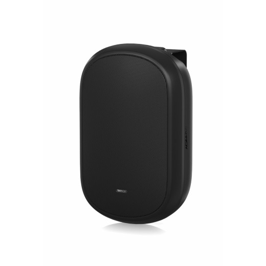 Настенные Tannoy DVS 401