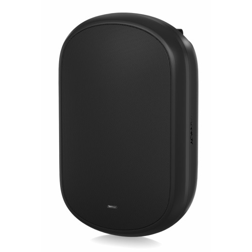 Tannoy DVS 801 настенные