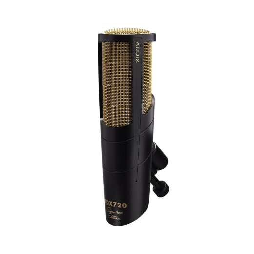 Гиперкардиоидные Audix PDX720